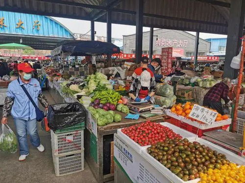 雙峪農副產品批發市場 筑牢疫情防線，守護百姓“菜籃子”安全