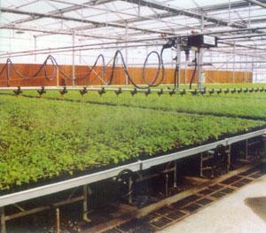 重華供應各類大棚噴灌系統 微噴、移動噴灌助力現代農業